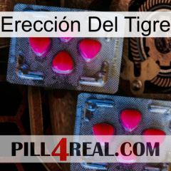 Erección Del Tigre 14